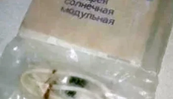 БСМ 0