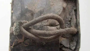 3С-Л-30 (1947) 6