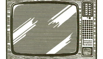 Славутич-233 (1981) 1