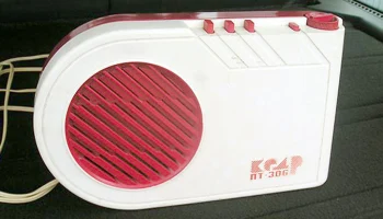 Кедр ПТ-306 (1989) 0