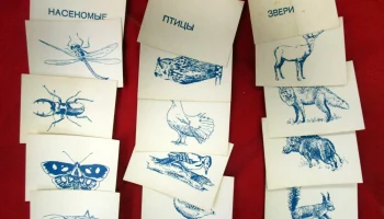 ДВМ-1 (1977) 2