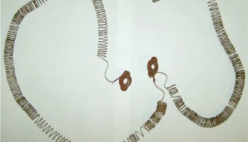 Комнатная спиральная радиоантенна (1965) 0