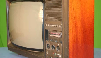 Чайка 51ТЦ-310Д (1989) 3