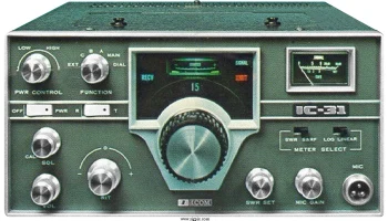 IC-31 0