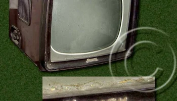 Неман/2/3 (1959) 8