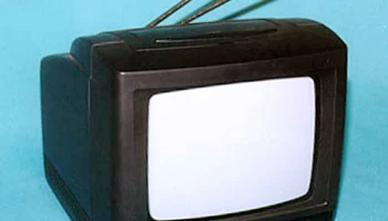 Чайка 24ТБ-507 (1999) 1