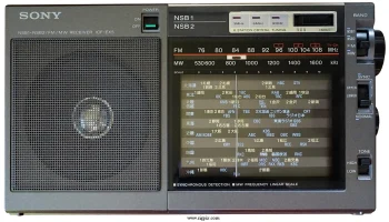 ICF-EX5 0