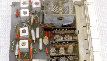 Ivolga (1963) 29