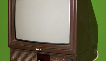 Банга 32ТЦ-402Д (1994) 0