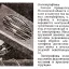 Электрофон (1934)