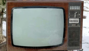 Берёзка Ц-201 (1979) 4