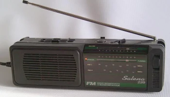 Salena 220 (1998) 1
