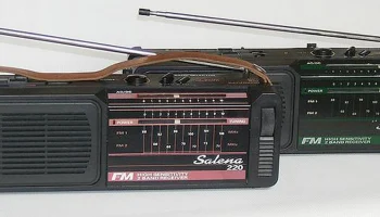 Salena 220 (1998) 0