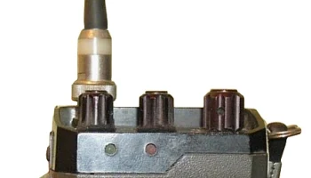 Multi-Palm IV 3