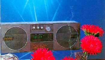 Альтаир ПТ-305 (1990) 0