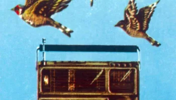 Океан-221 (1981) 5