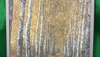 Русь-201 (1983) 3