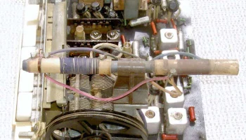 Ivolga (1963) 28