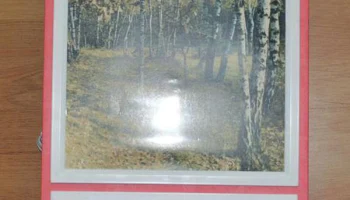Полесье (1987) 0