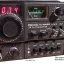IC-245E