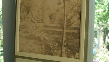 Полесье (1987) 2