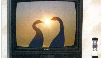 Русич 51ТЦ-423ДВ (1996) 2