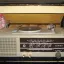 Гайна Р-301-Л (1965)