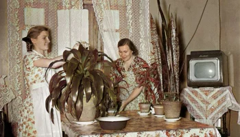 Авангард (1953) 0