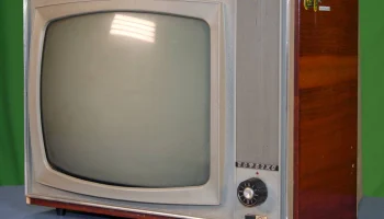 Берёзка (1964) 10