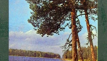 Горизонт Ц-257 (1984) 2