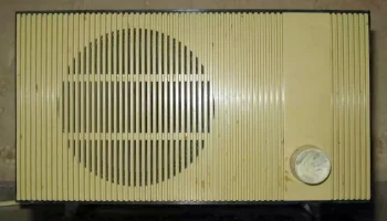 Каштан (1970) 2